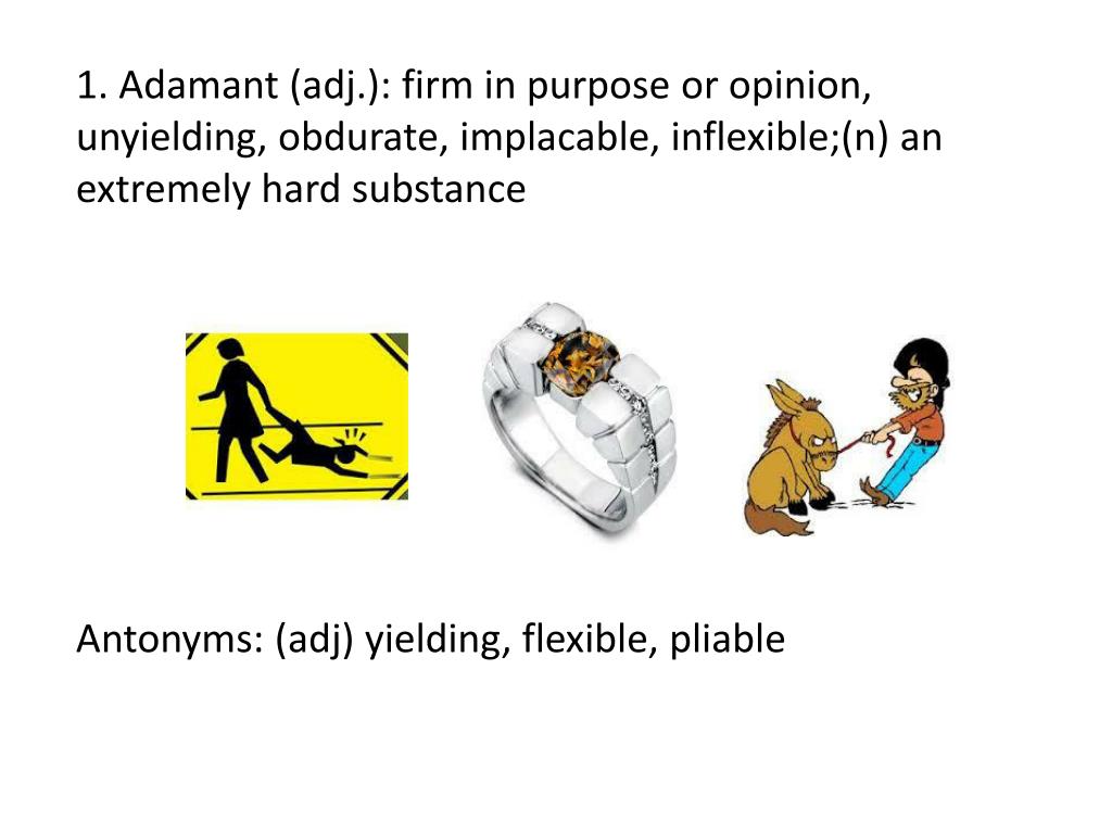 adamant synonym and antonym