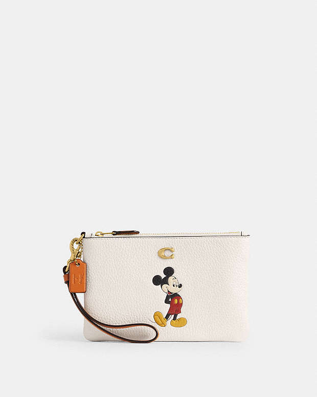 coach x disney