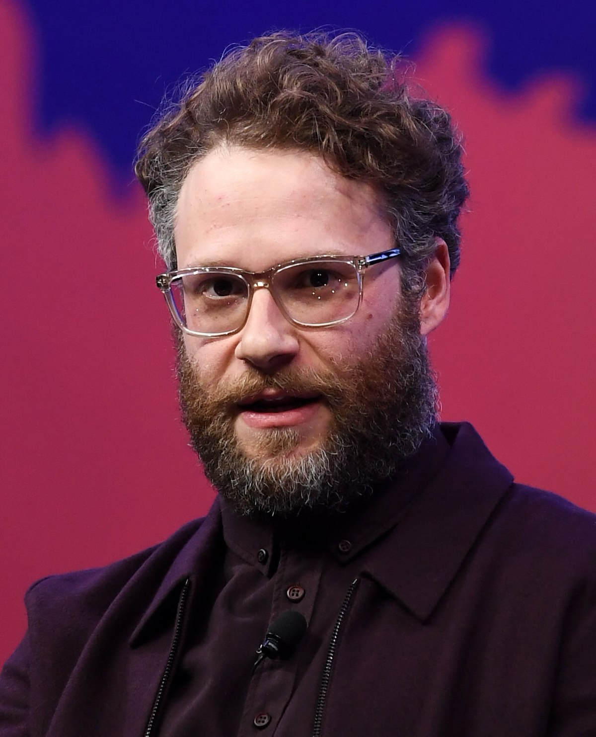 seth rogan related to joe rogan