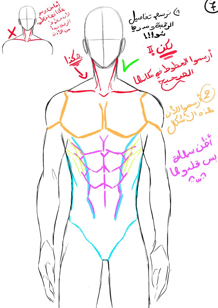 how to draw masculine body