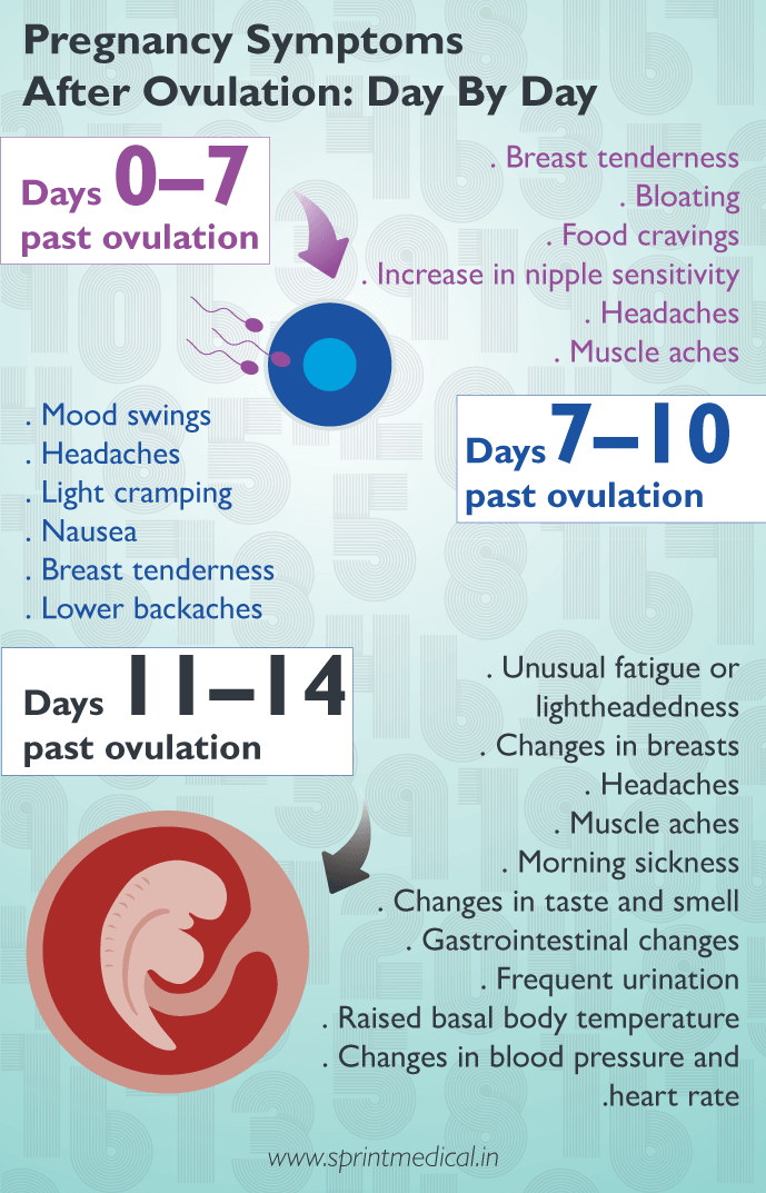 3 dpo symptoms