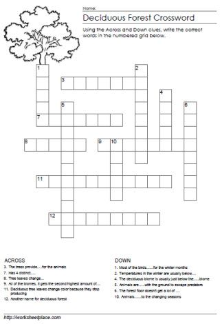 deciduous tree crossword clue