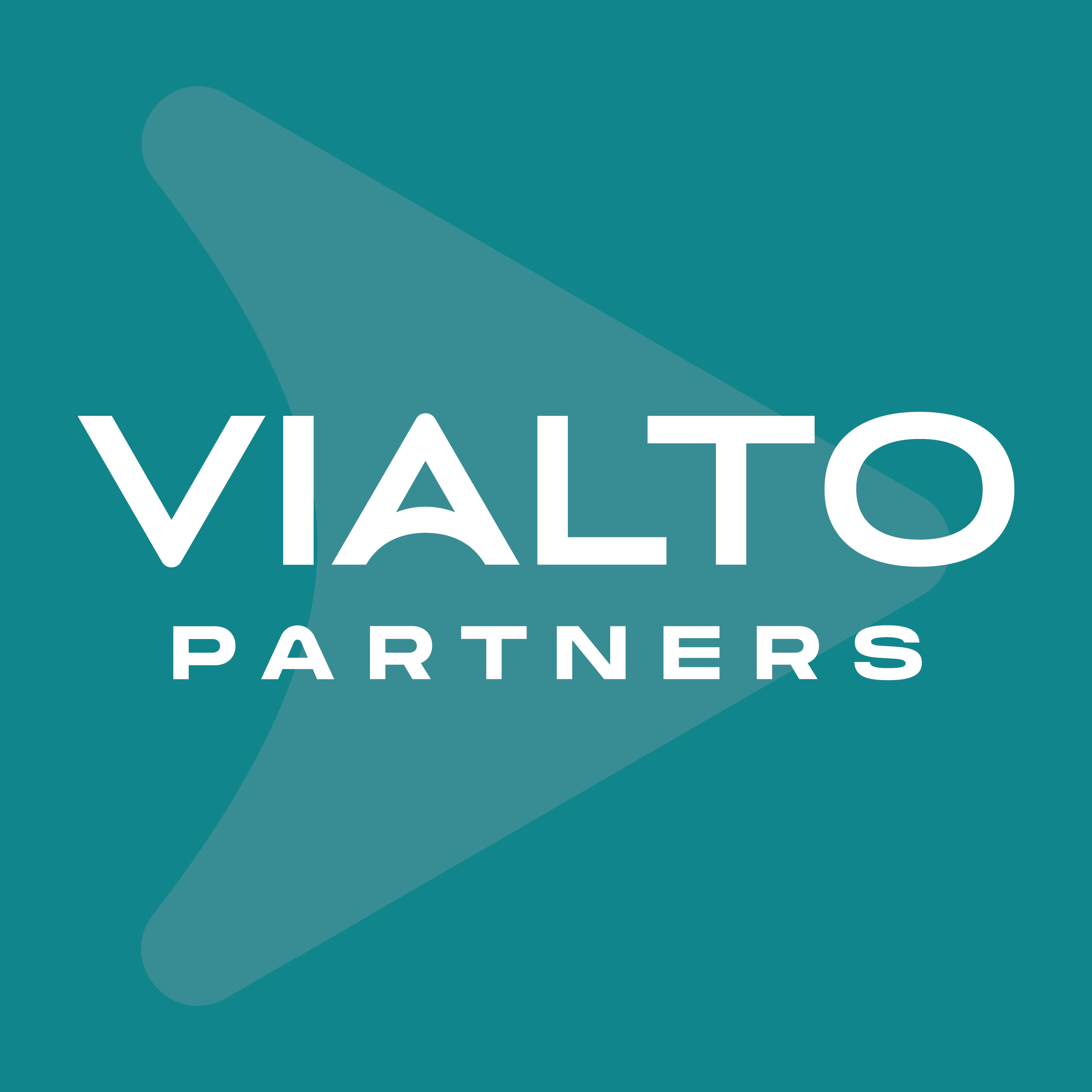 vialto partners