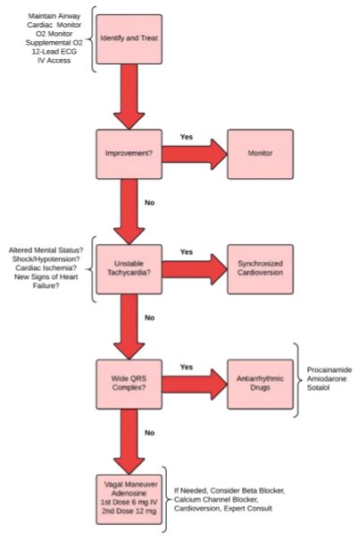 acls study guide pdf