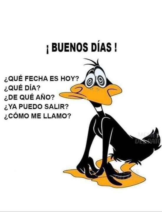 graciosas buenos días humor