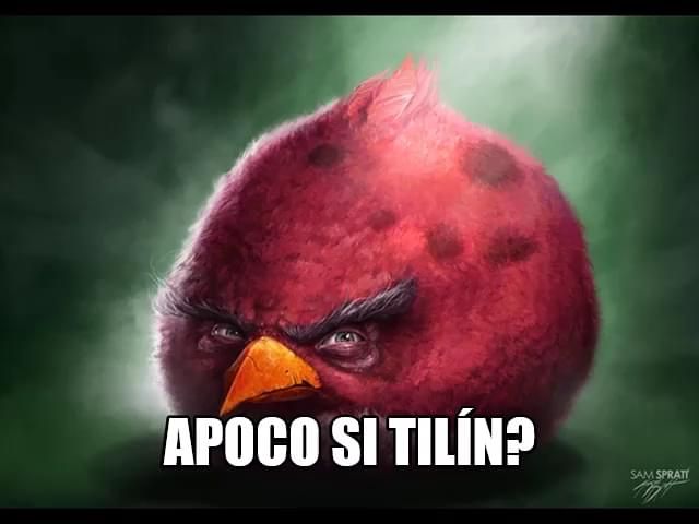 angry birds memes