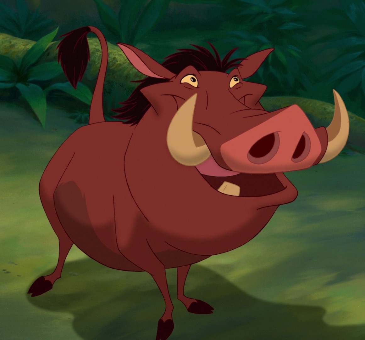 pumbaa from lion king