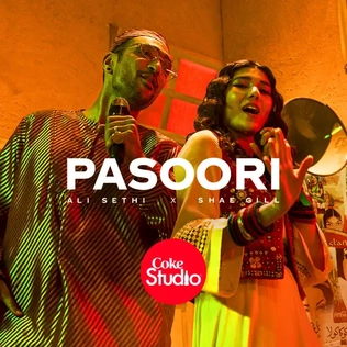 pasoori meaning punjabi