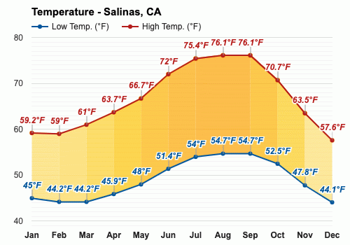 salinas forecast