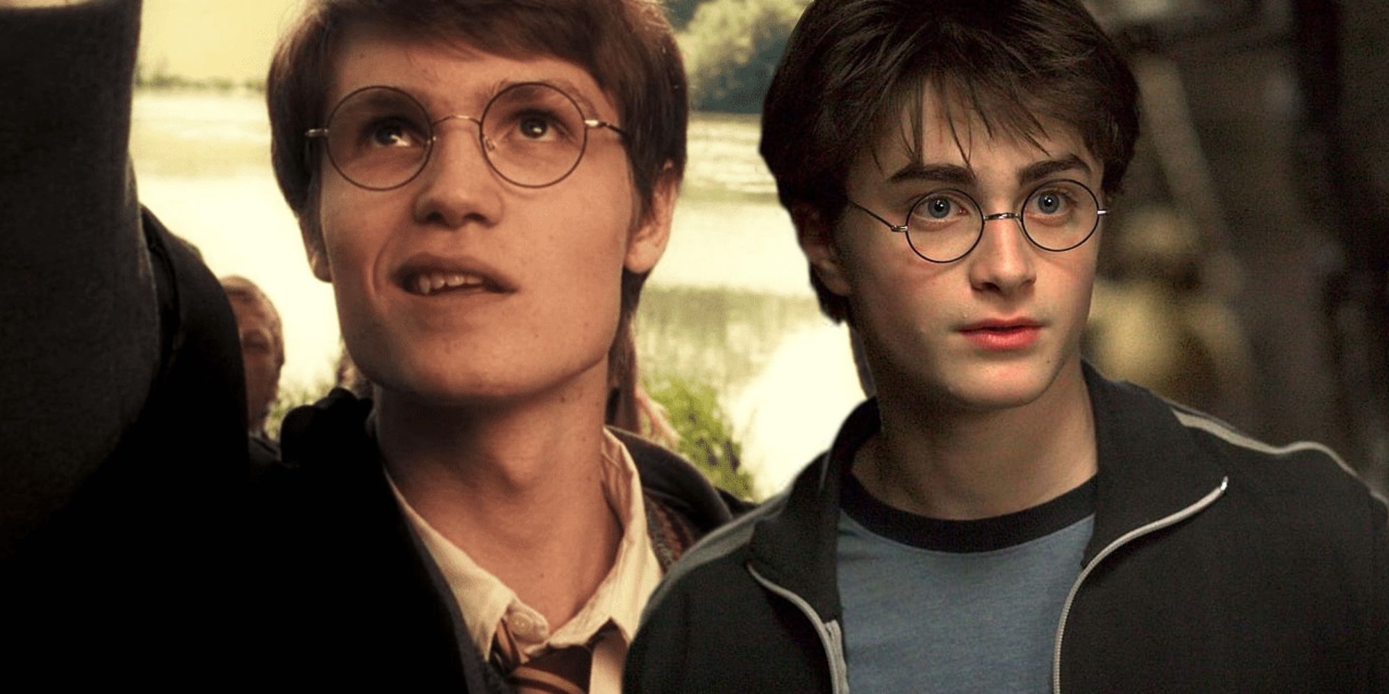 james potter and harry potter