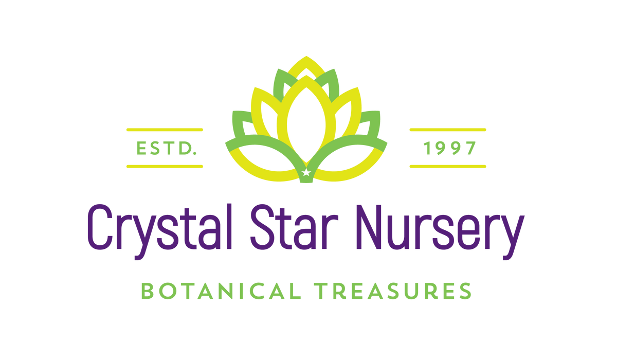 crystal star nursery