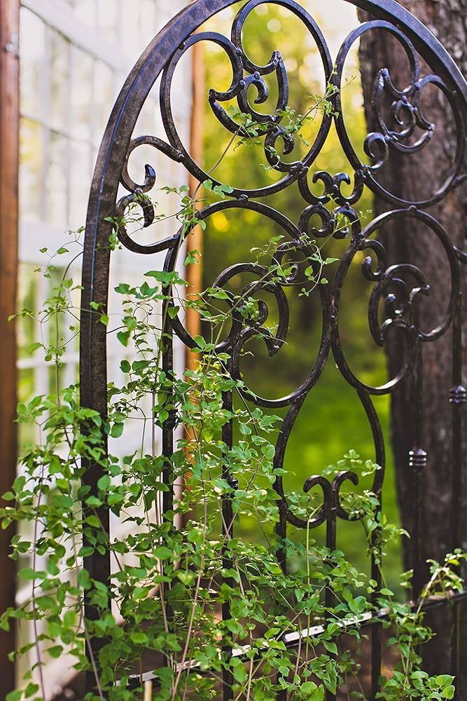 wrought iron trellis