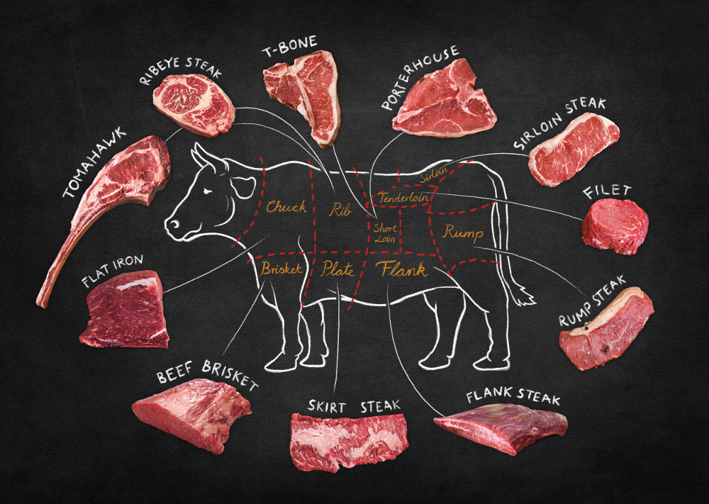 cow beef diagram