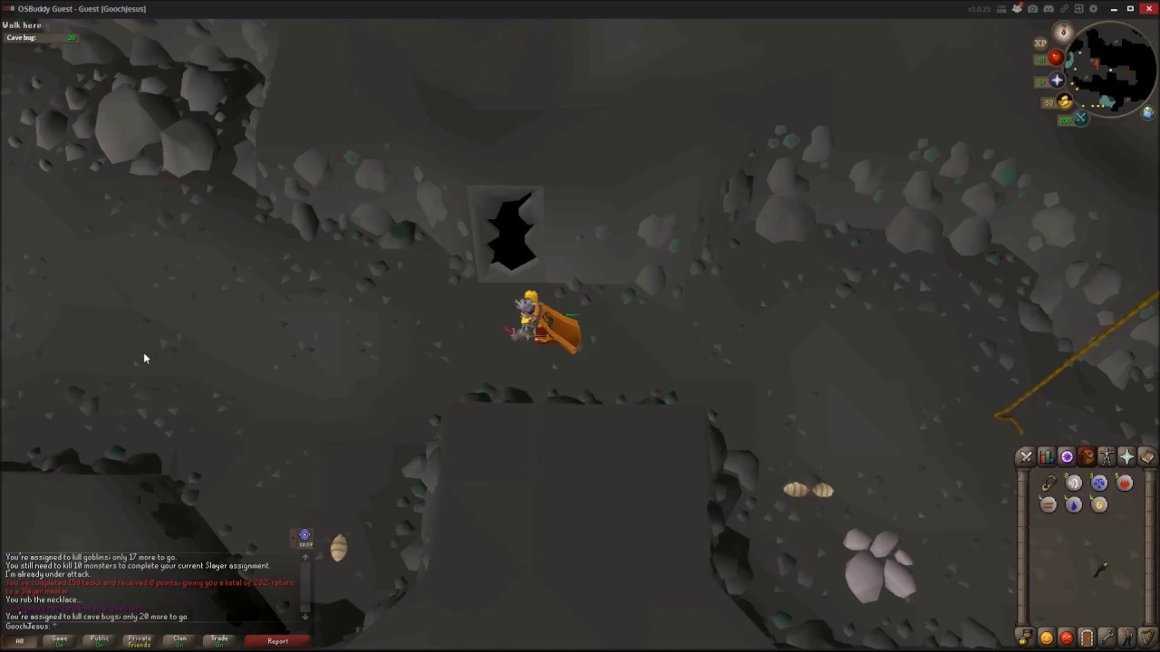 cave bug osrs