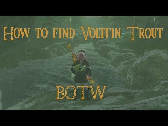 voltfin trout location botw