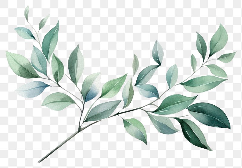 watercolor leaves png