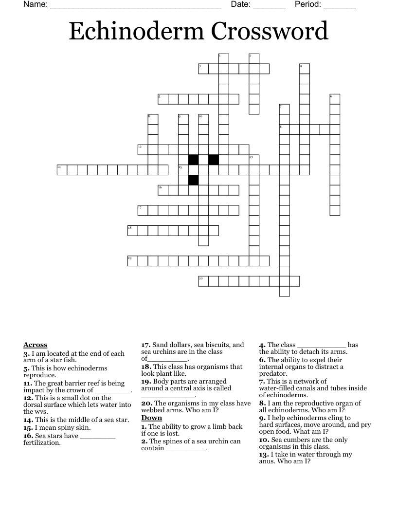 marine echinoderm crossword