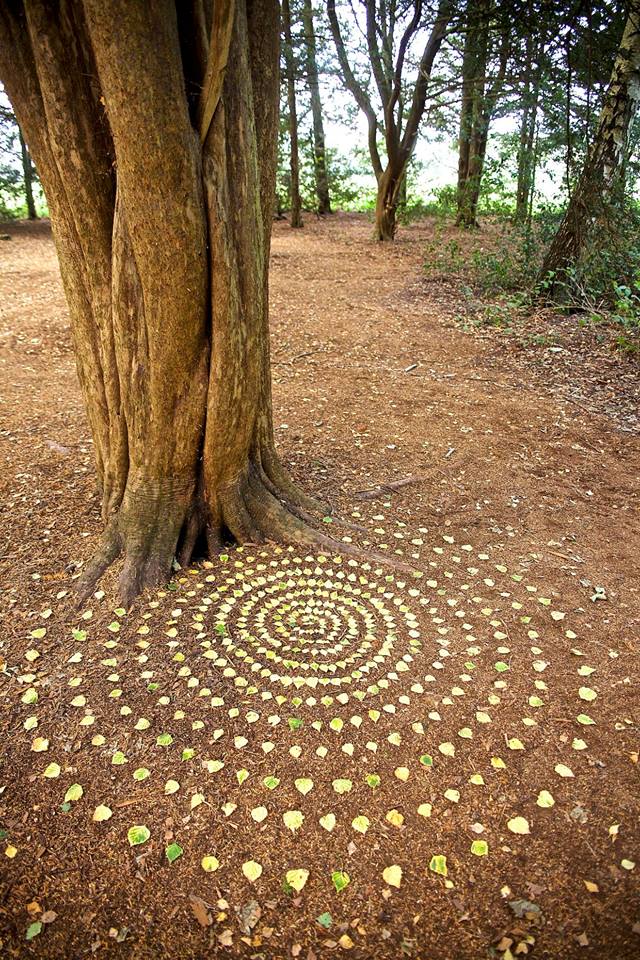 tree spirit fairy ring