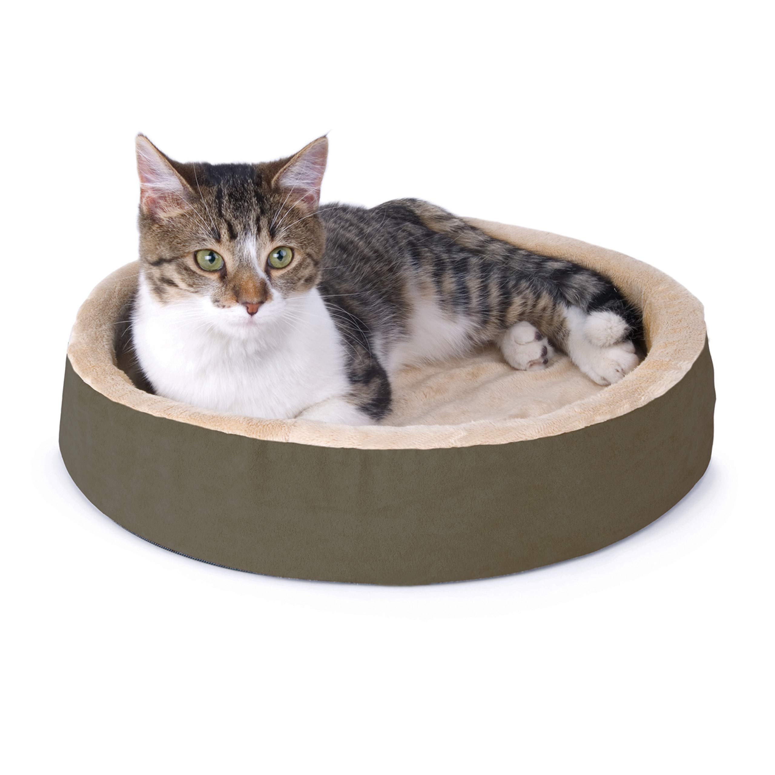 heated cat bed australia