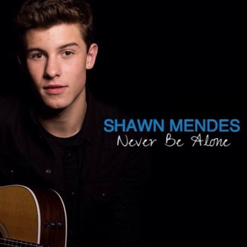 shawn mendes never be alone mp3 download