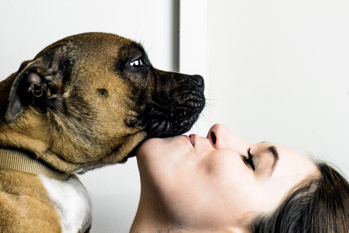 mujer se folla a un perro