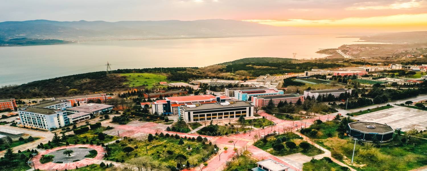 sakarya university