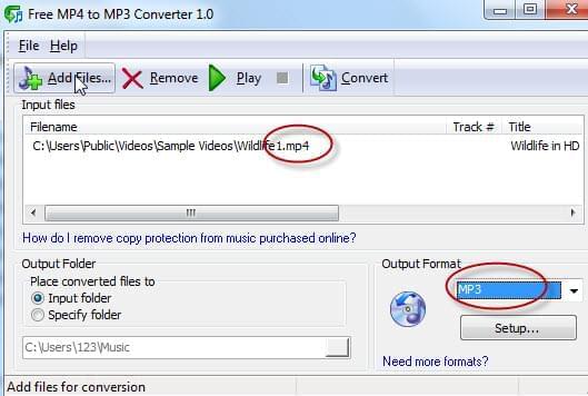 convert mp4 to