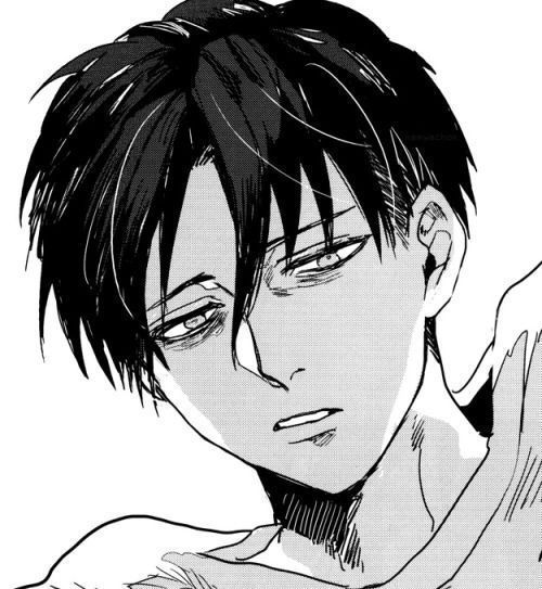 levi x reader smut