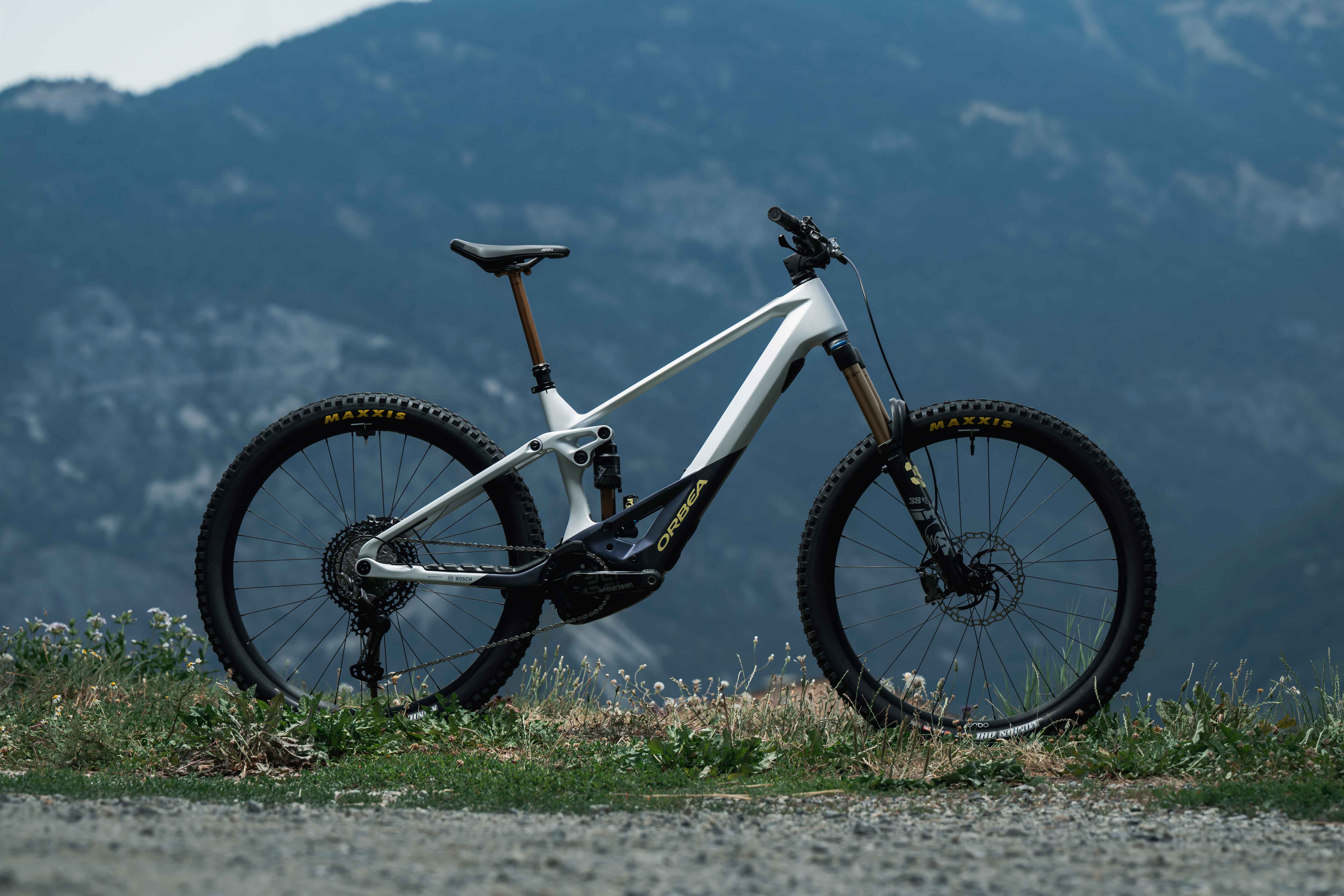 orbea wild 2022 opiniones