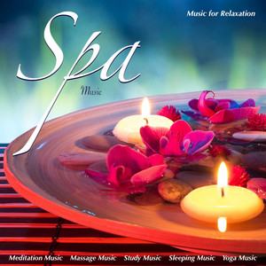 spa music spotify