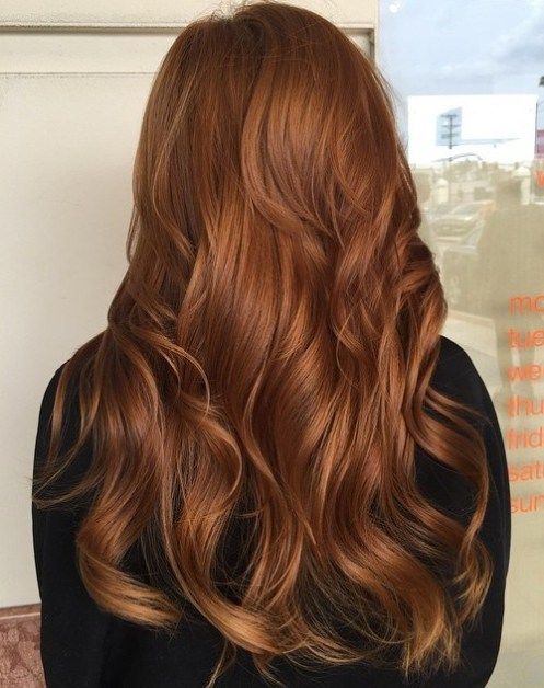 chestnut copper brown hair