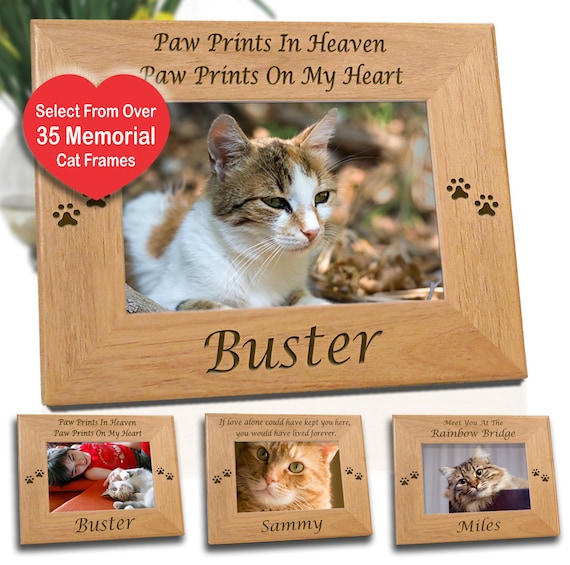 gifts for cat lovers australia