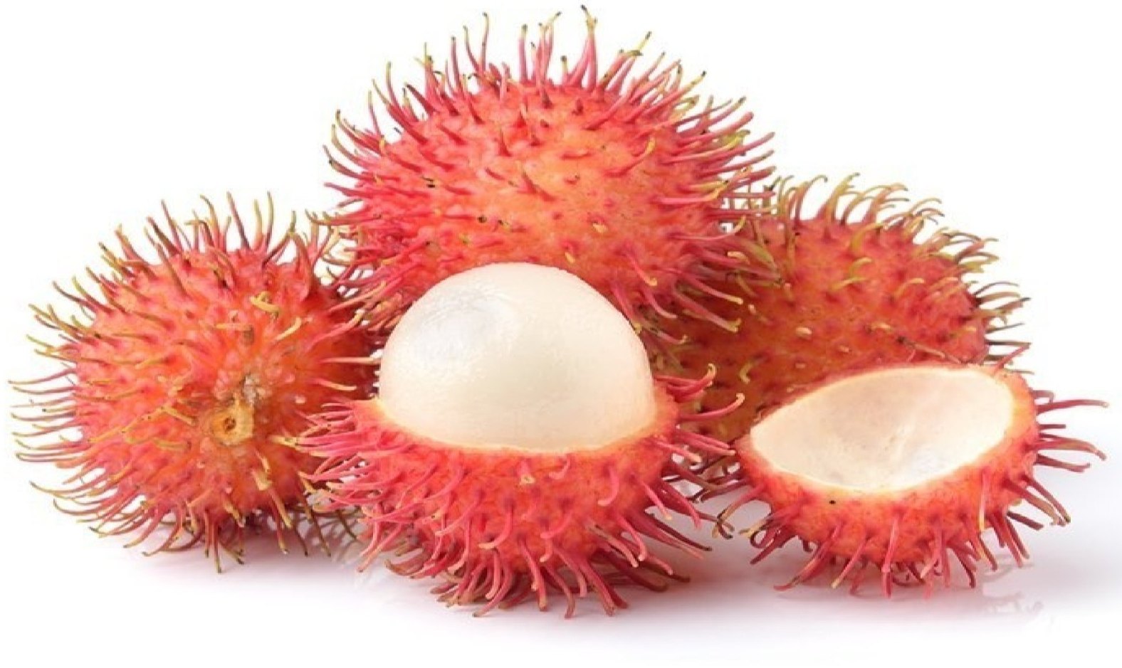 rambutan price in kerala