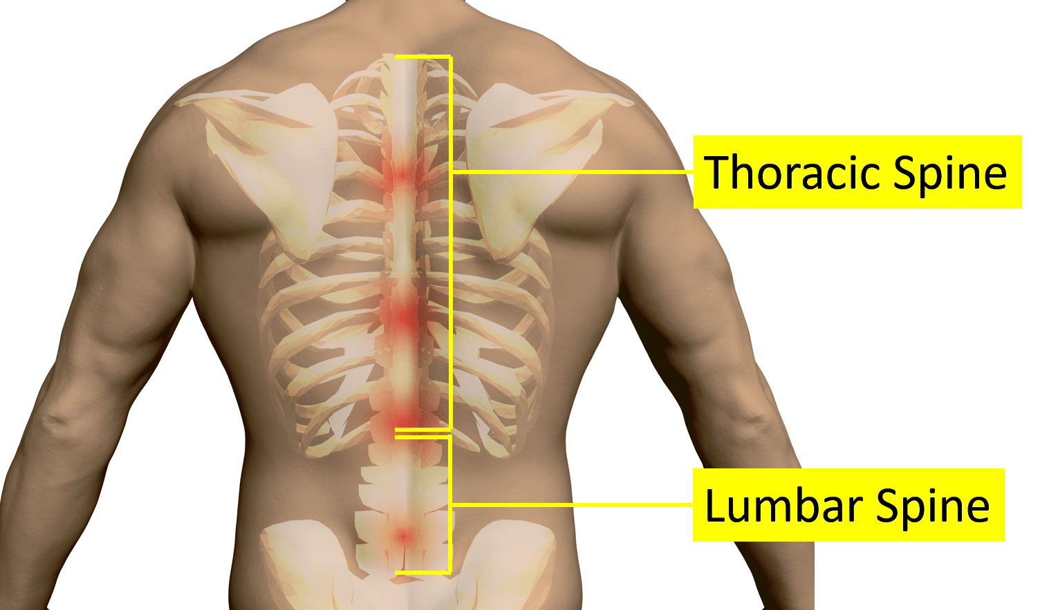 pain under right rib cage and back