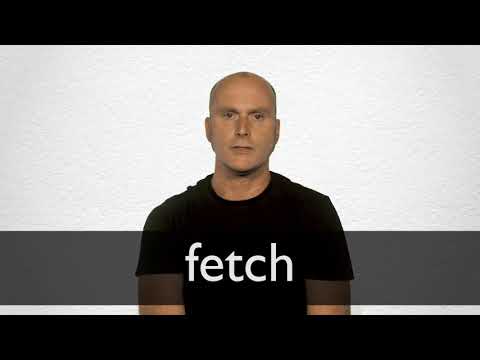 fetch synonyms