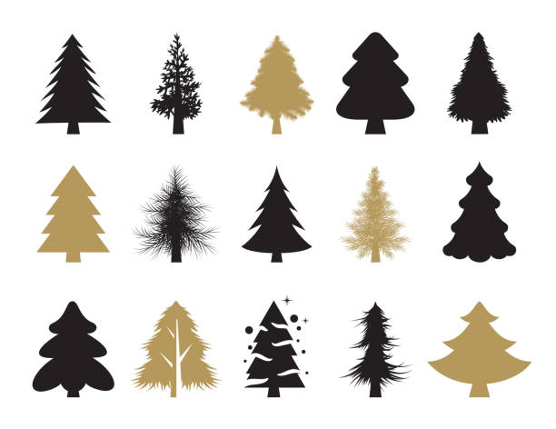 fir tree graphic