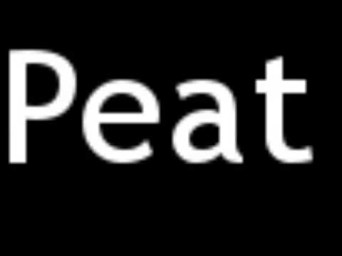 how to pronounce peat