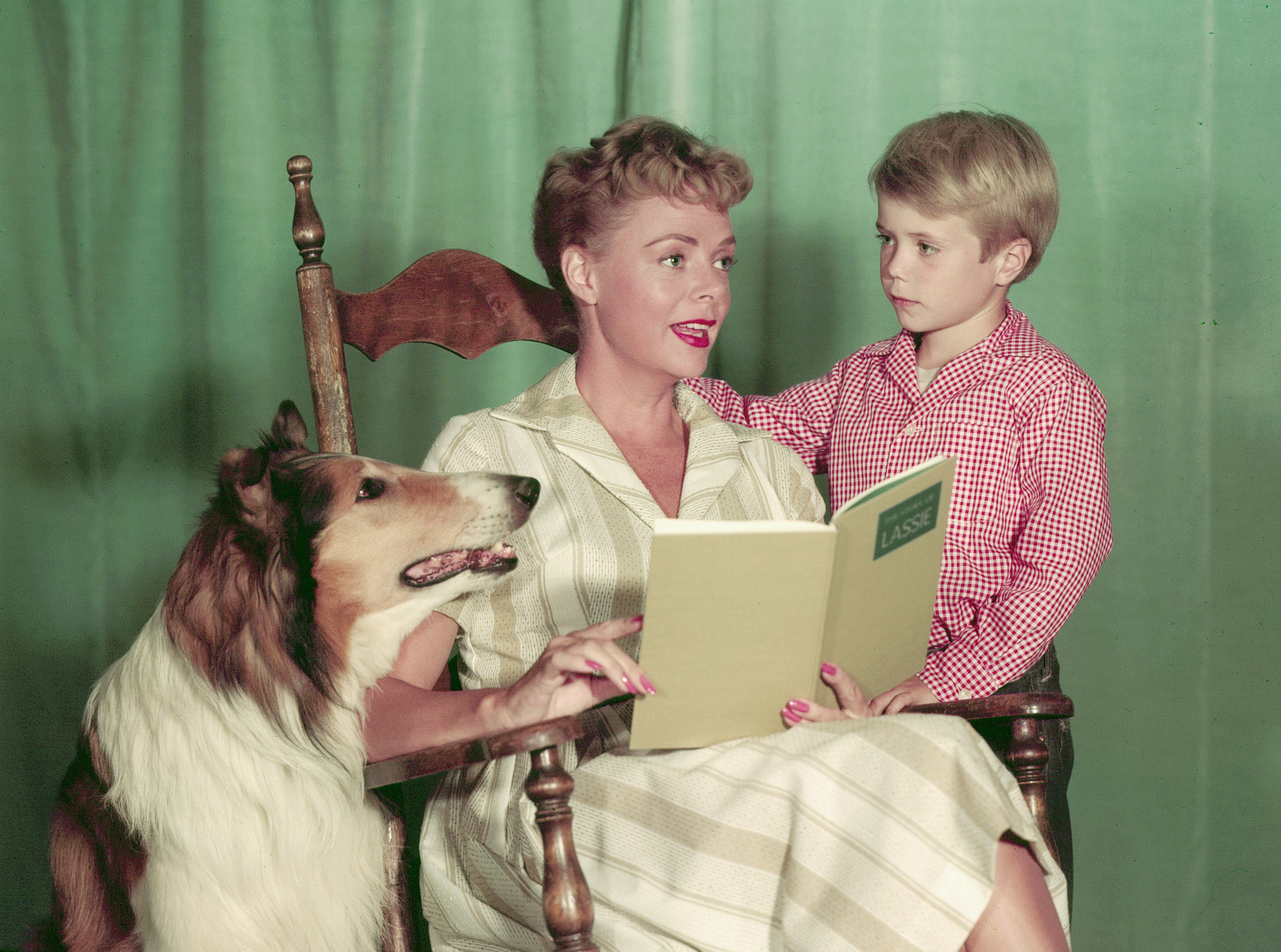 jon provost wife