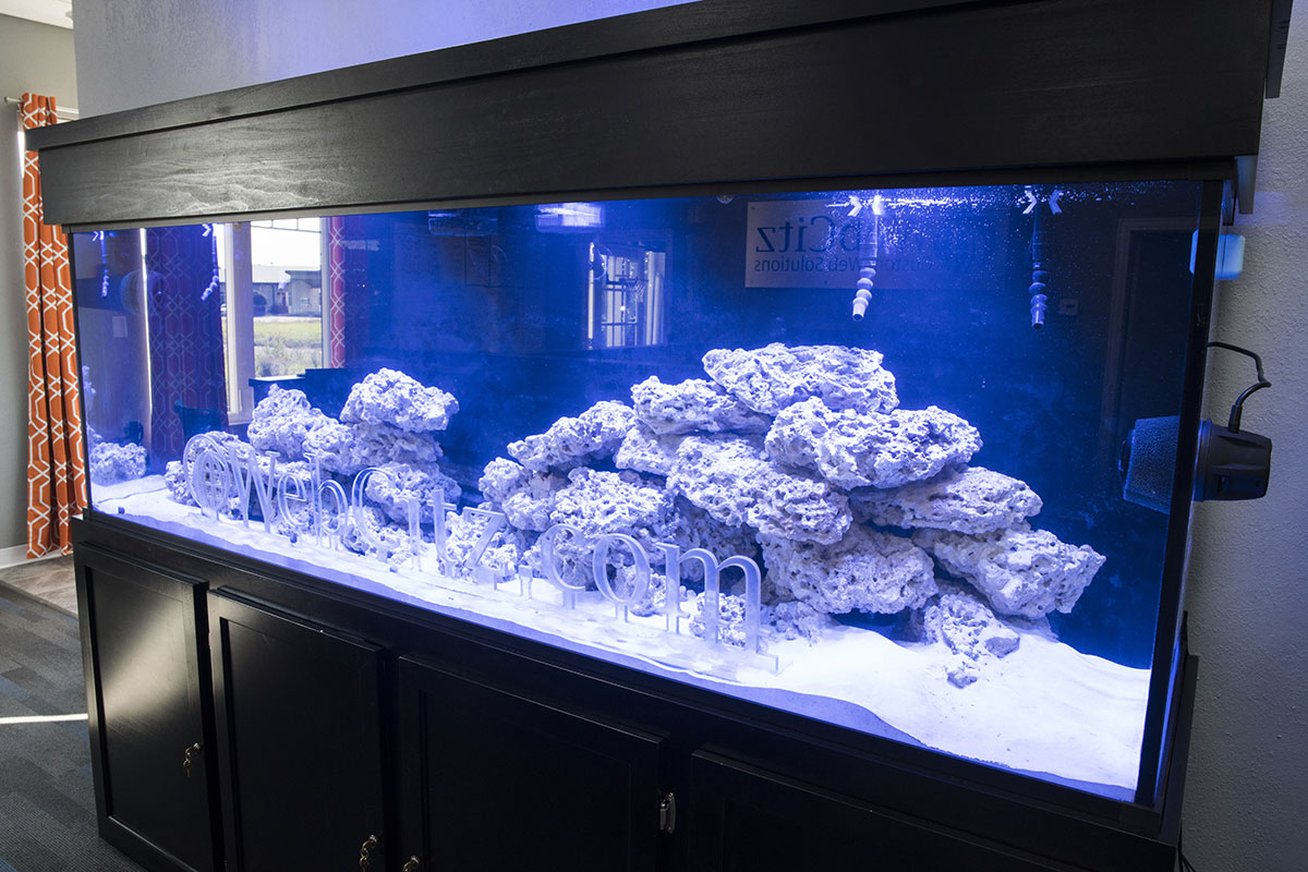 300 gallon reef tank