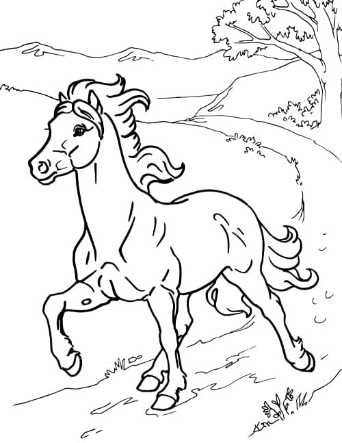 colouring pages of horses