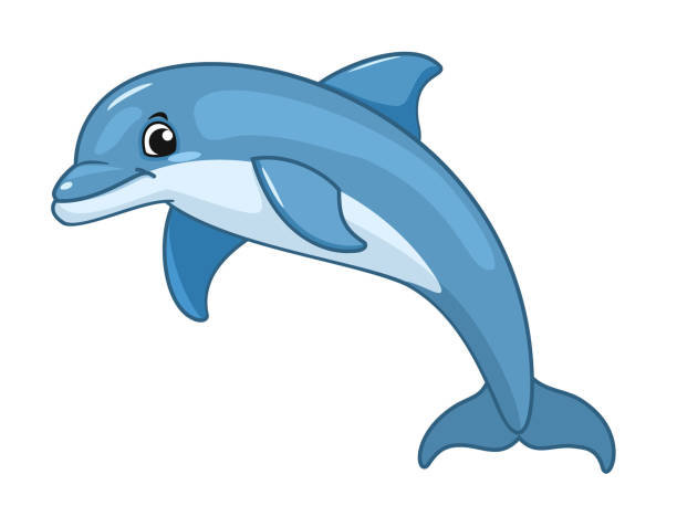 dolphin cartoon pic