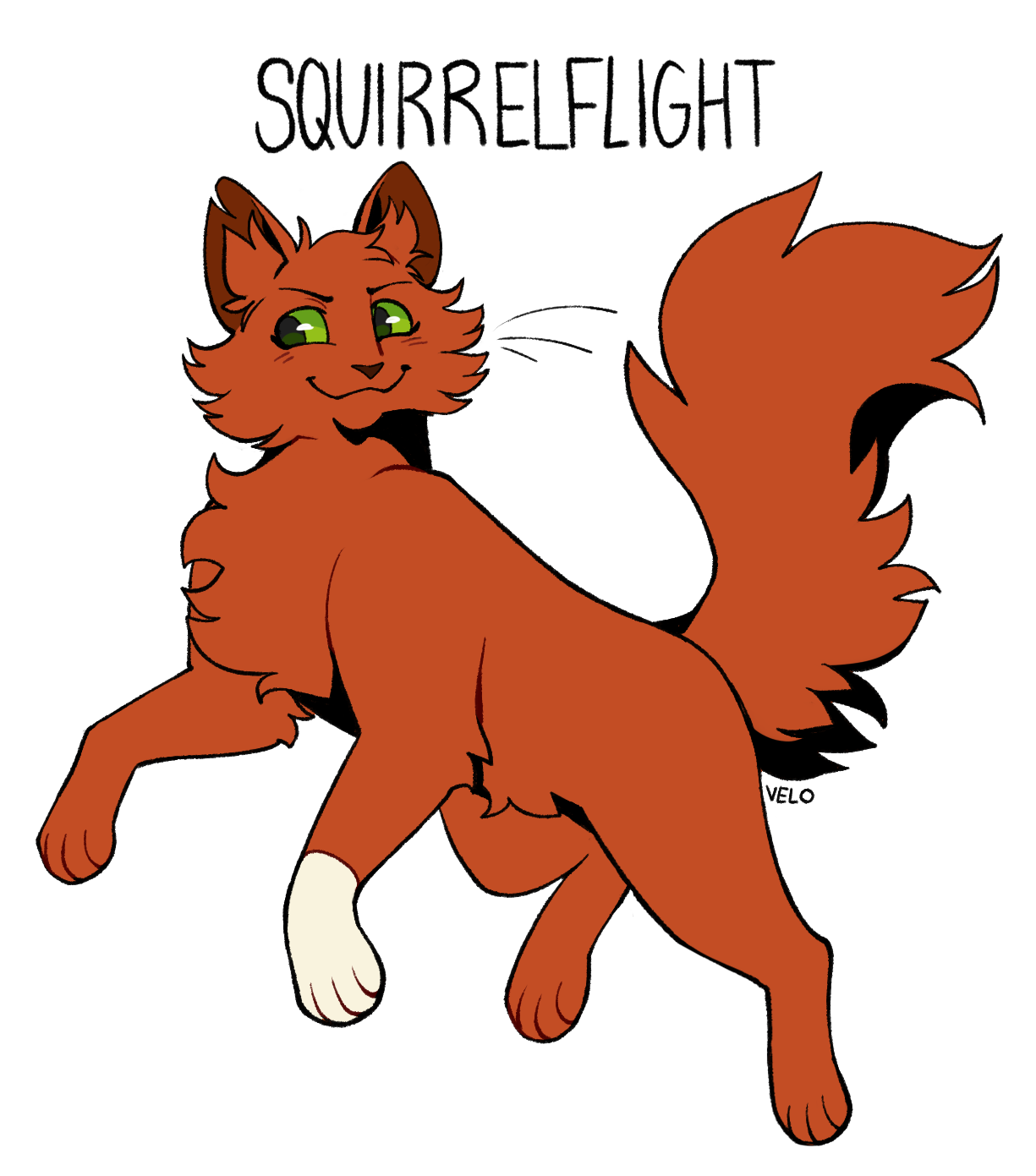 squirrelflight