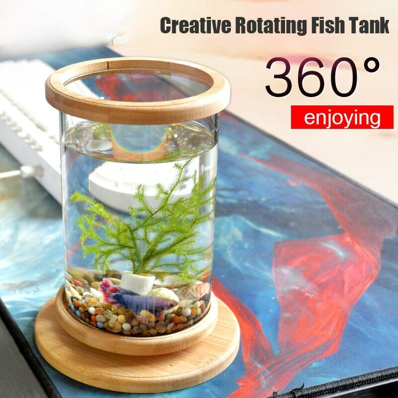 360 fish tank