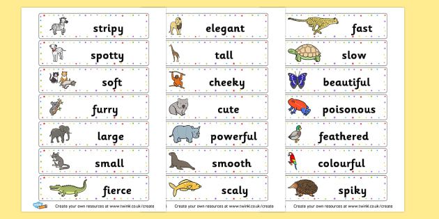 adjectives for describing animals