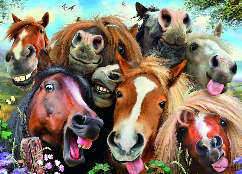 funny pictures with horses