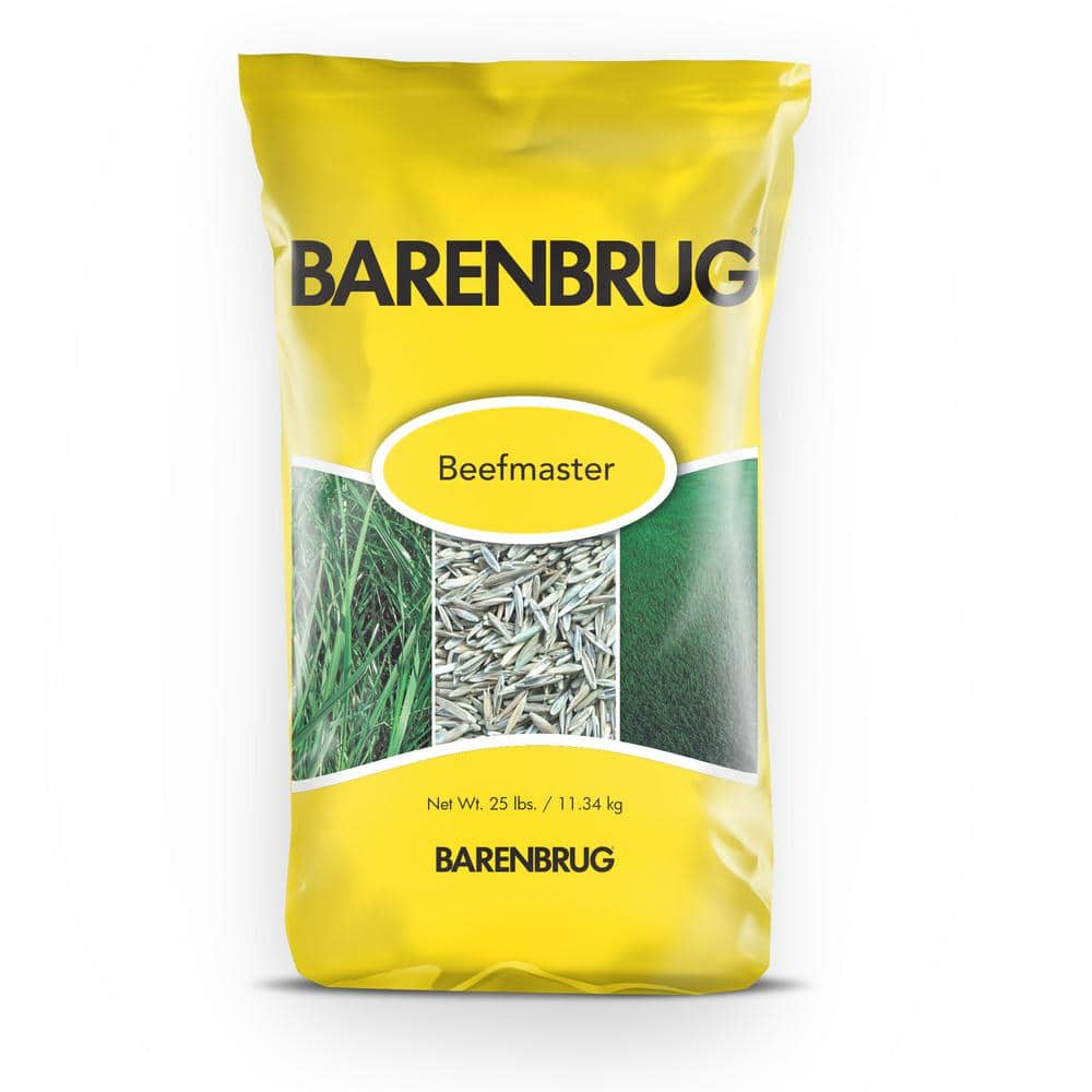 barenbrug seeds