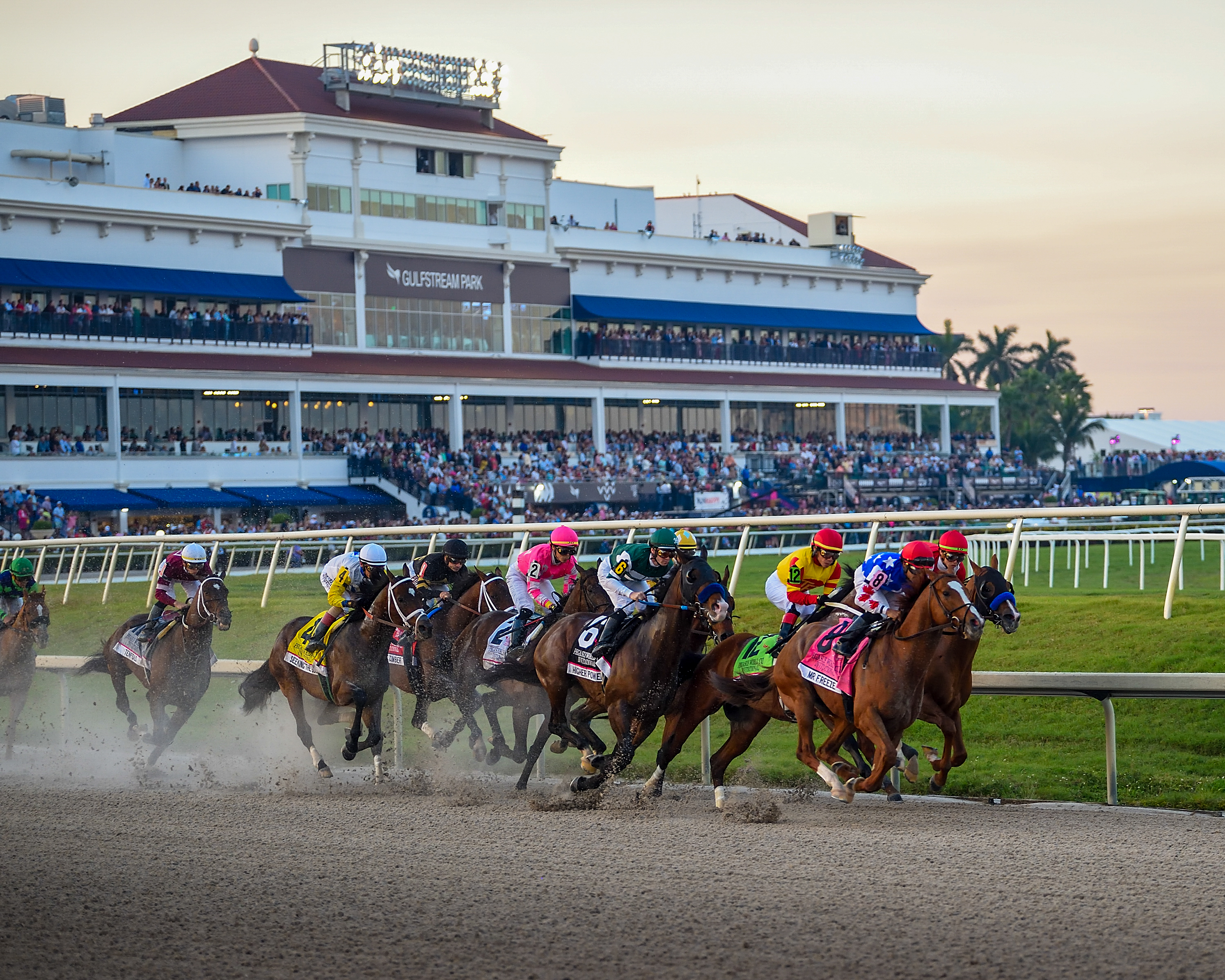 gulfstreampark livestream