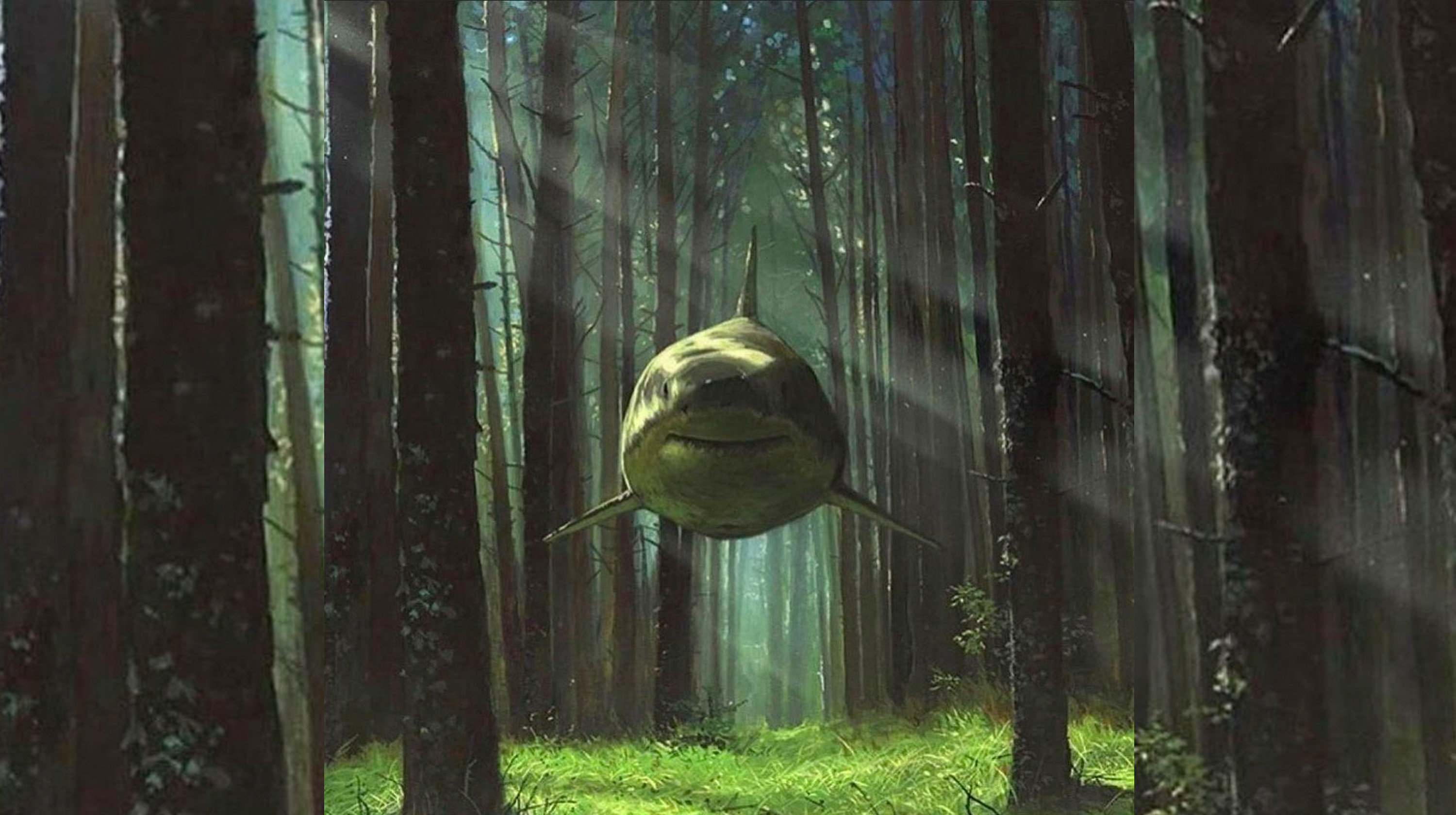 shark in a forest meme