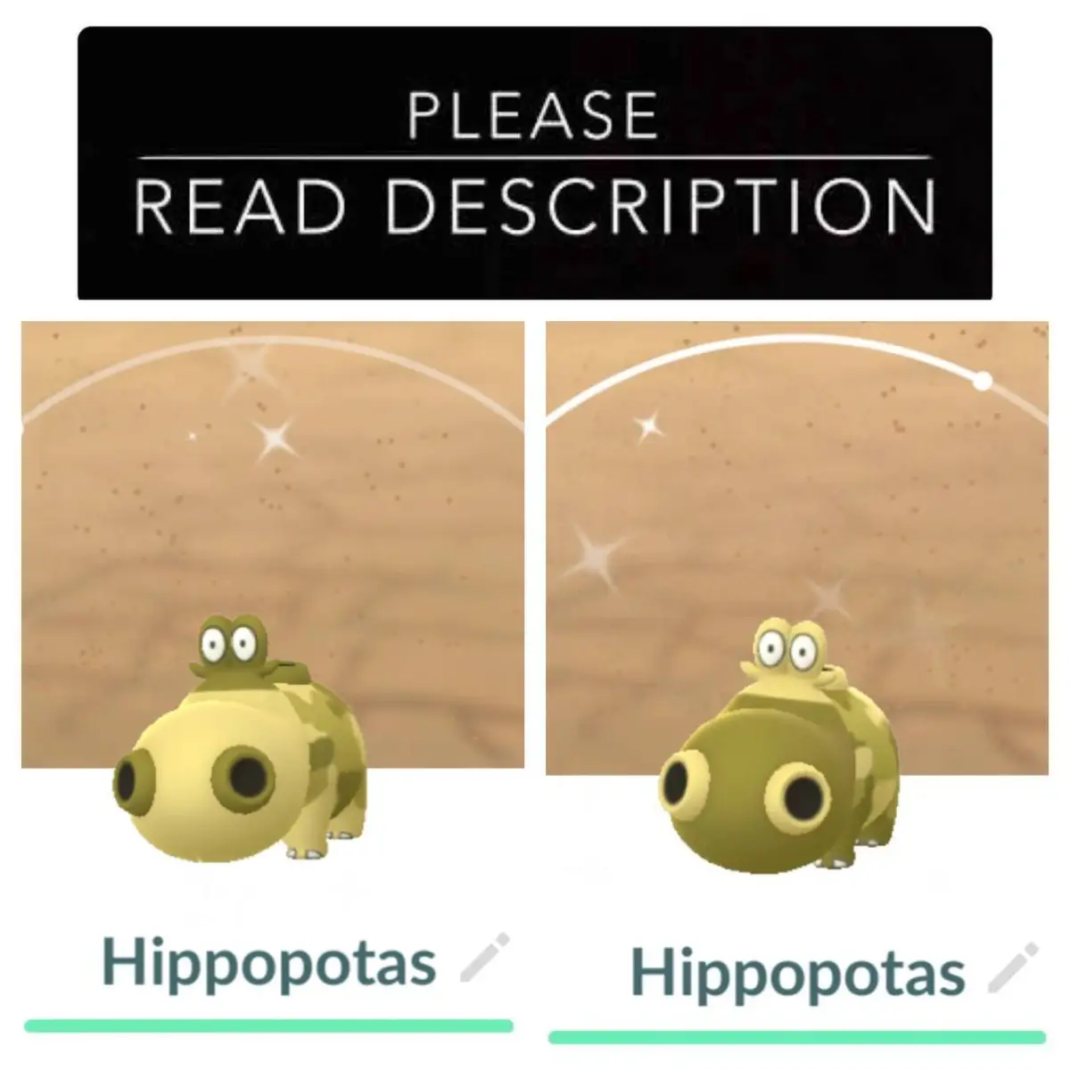 hippopotas shiny