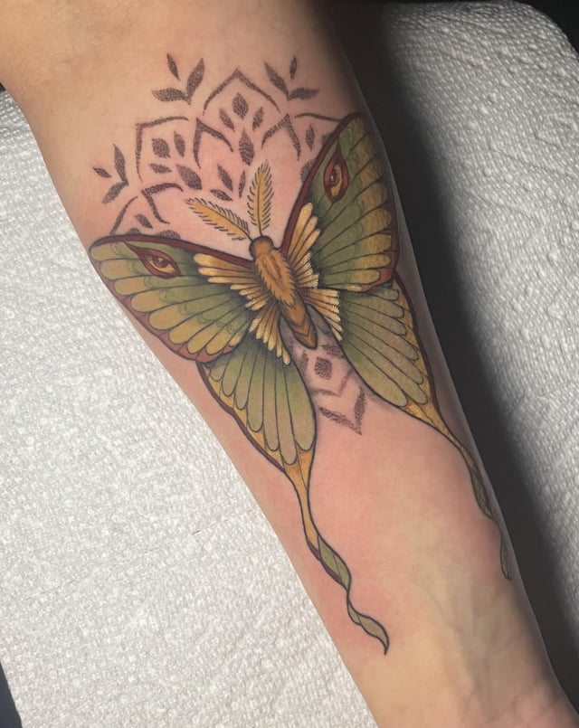 luna moth tattoo